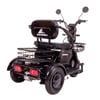 Triciclo Eletrico Mult 3 Wx-T03 Wehawk 800w Bat 48v 20ah 3 Lugares Preto