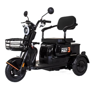 Triciclo Eletrico Mult 3 Wx-T02 Wehawk 650w Bat 60v 20ah 3 Lugares Preto
