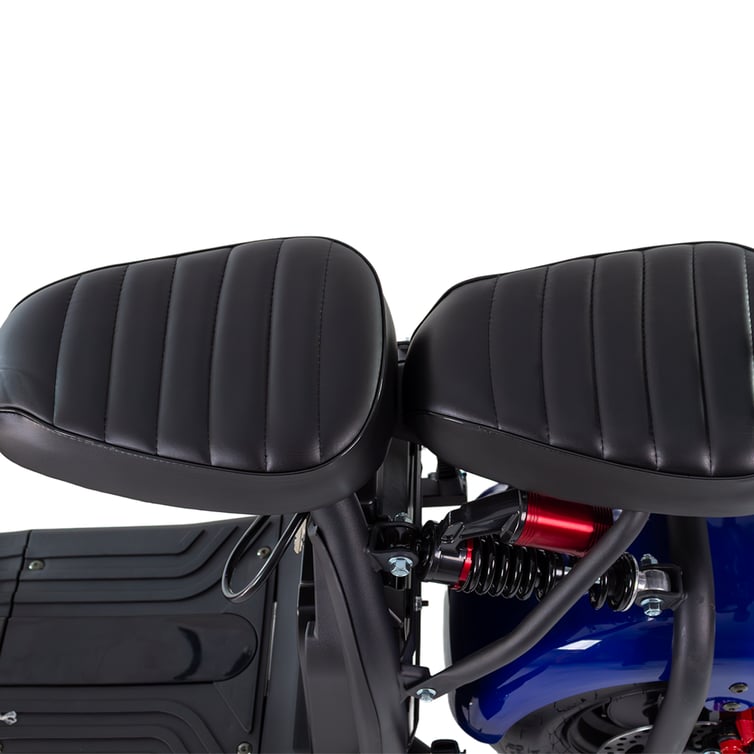 Scooter Bicicleta Eletrica Nb Free Wx-10 Wehawk 1000w Bat 60v 20ah 2 Lugares Azul New