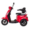 Triciclo Eletrico Cf Wx-T01 Wehawk 800w Bat 60v 20ah 1 Lugar Vermelho