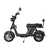 Scooter Bicicleta Eletrica Wx-11 Wehawk 1000w Bat 60v 20ah 2 Lugares Preto Carbono