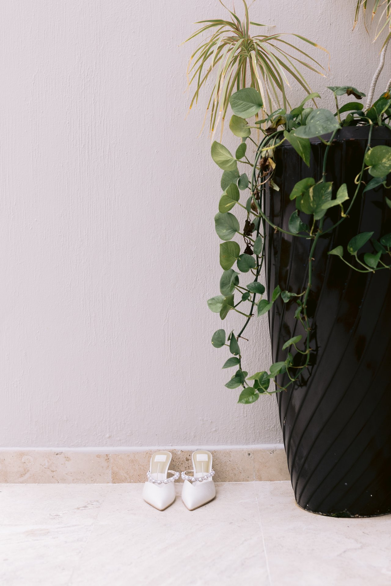 Bridal shoes beside a potted palm in the suite