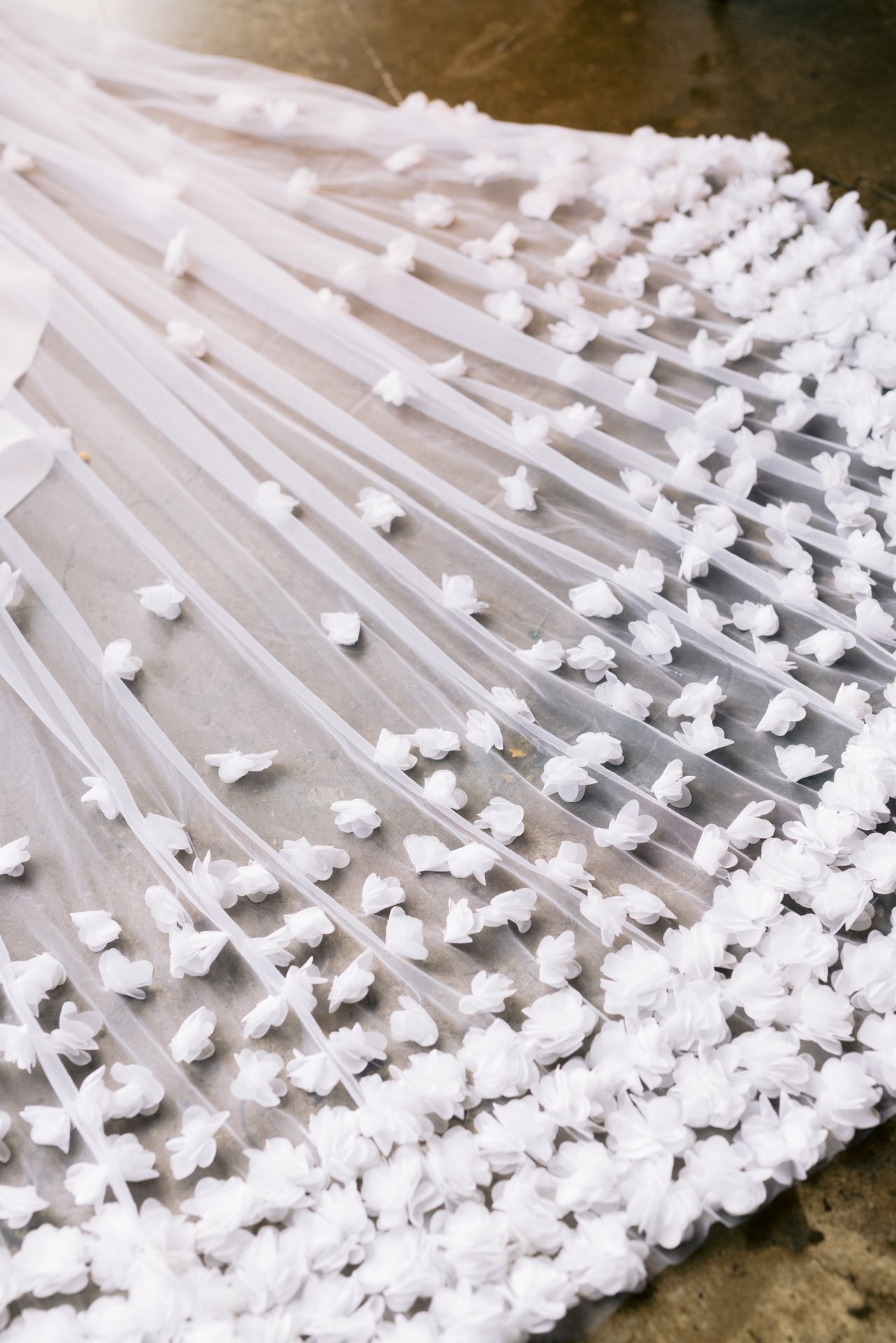 The beaded gown under the light