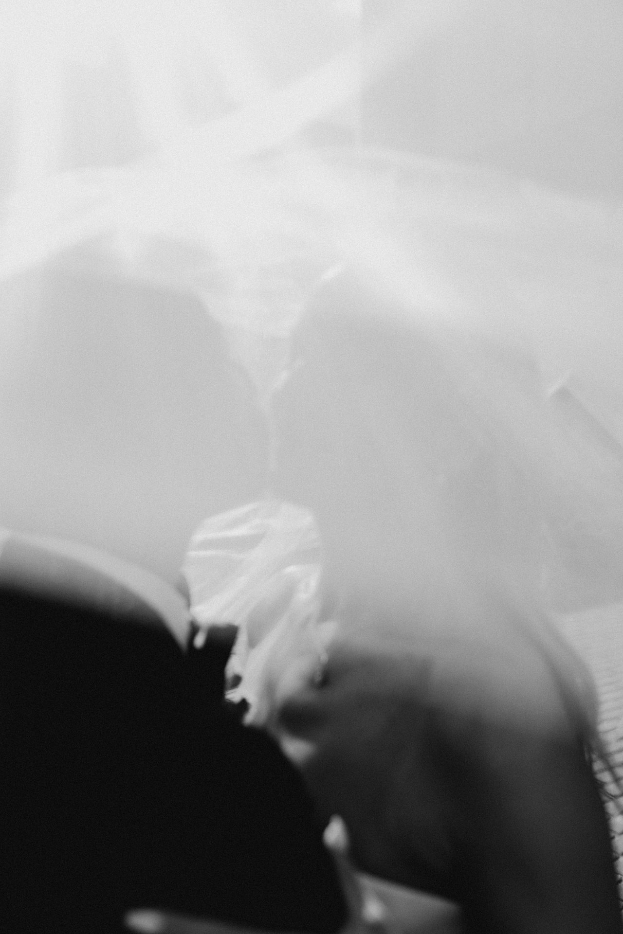 The veil, soft and close
