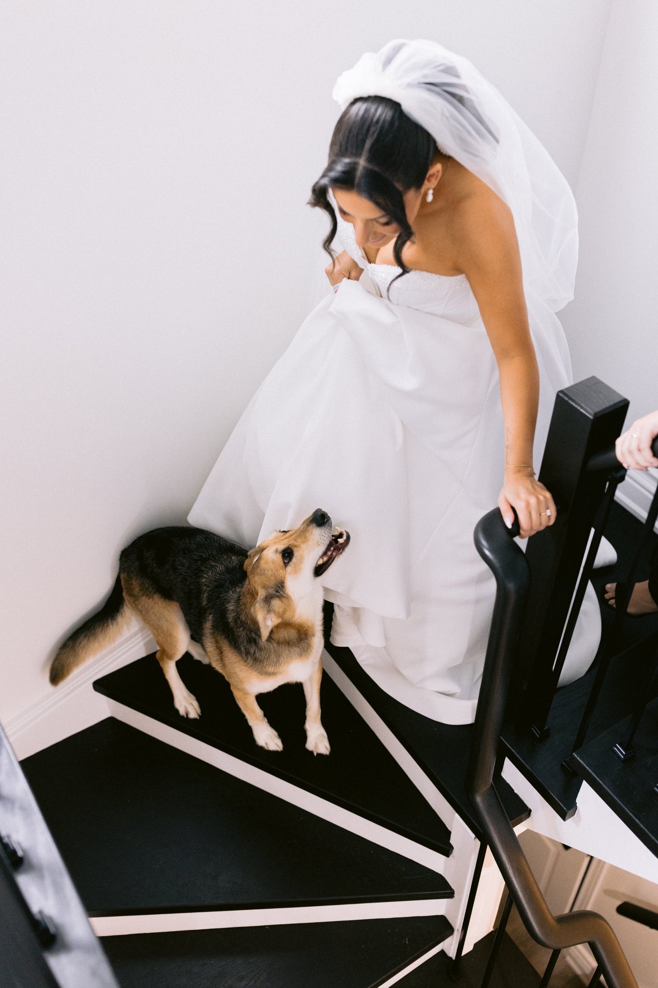 Veil on, their dog on the chair