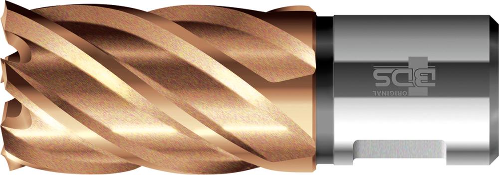 Imagen del producto Broca trepanadora VARIOPlus corta KBK HSS vastago Weldon 12/30 mm BDS