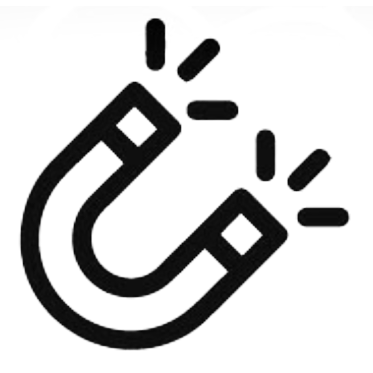 Productos de IMANES