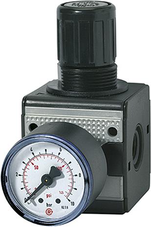 Imagen del producto Regulador presión multifix con Manómetro BG1 0,5-10bar G1/4" RIEGLER