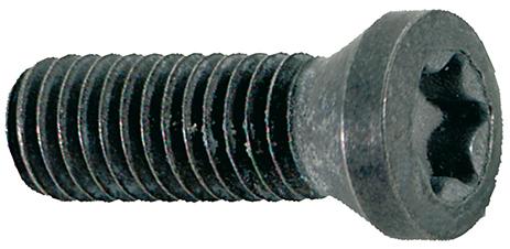 Imagen del producto Tornillo de apriete M5 x 12 T20