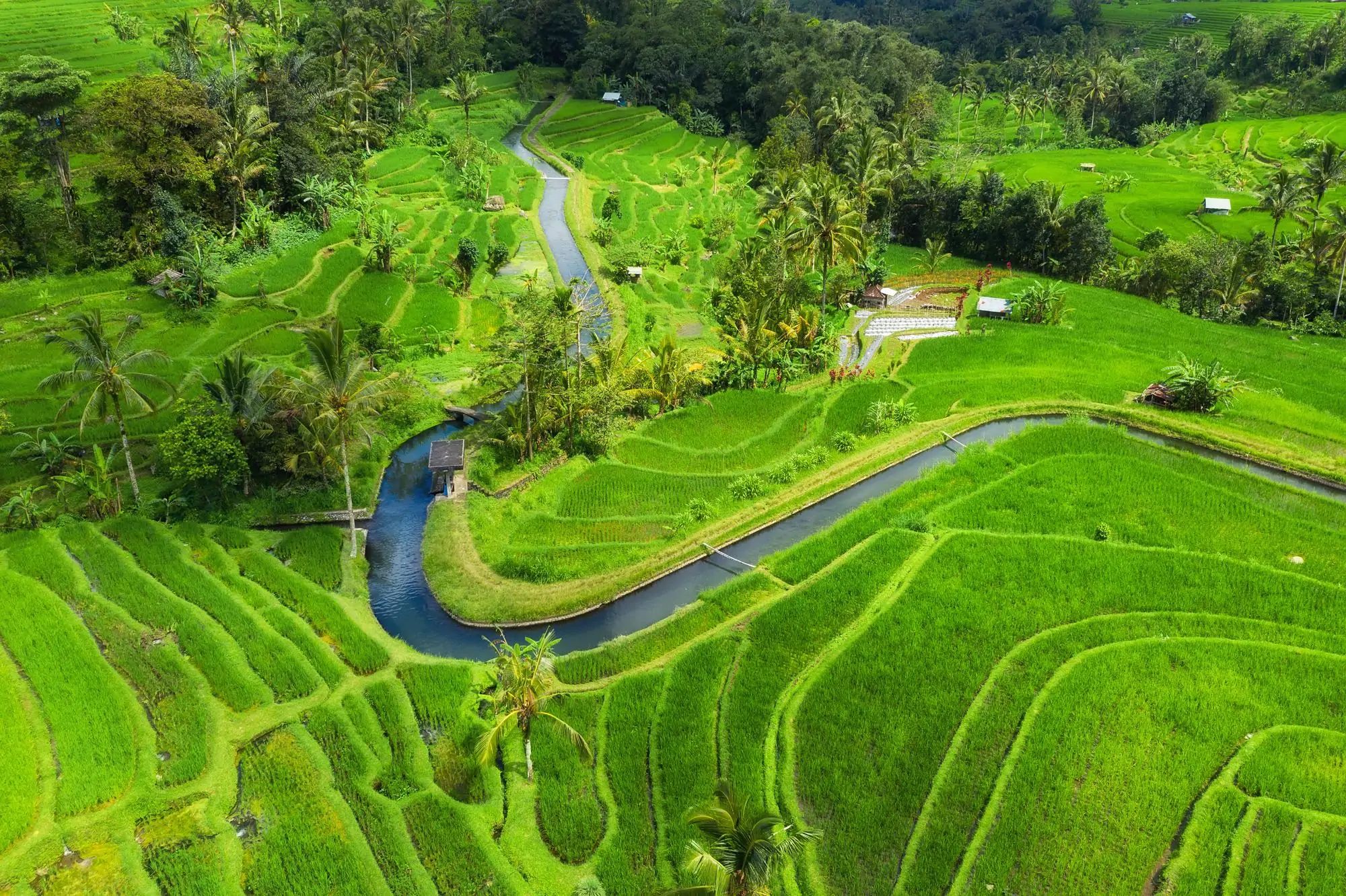 Leisure & Bali Nature Adventure