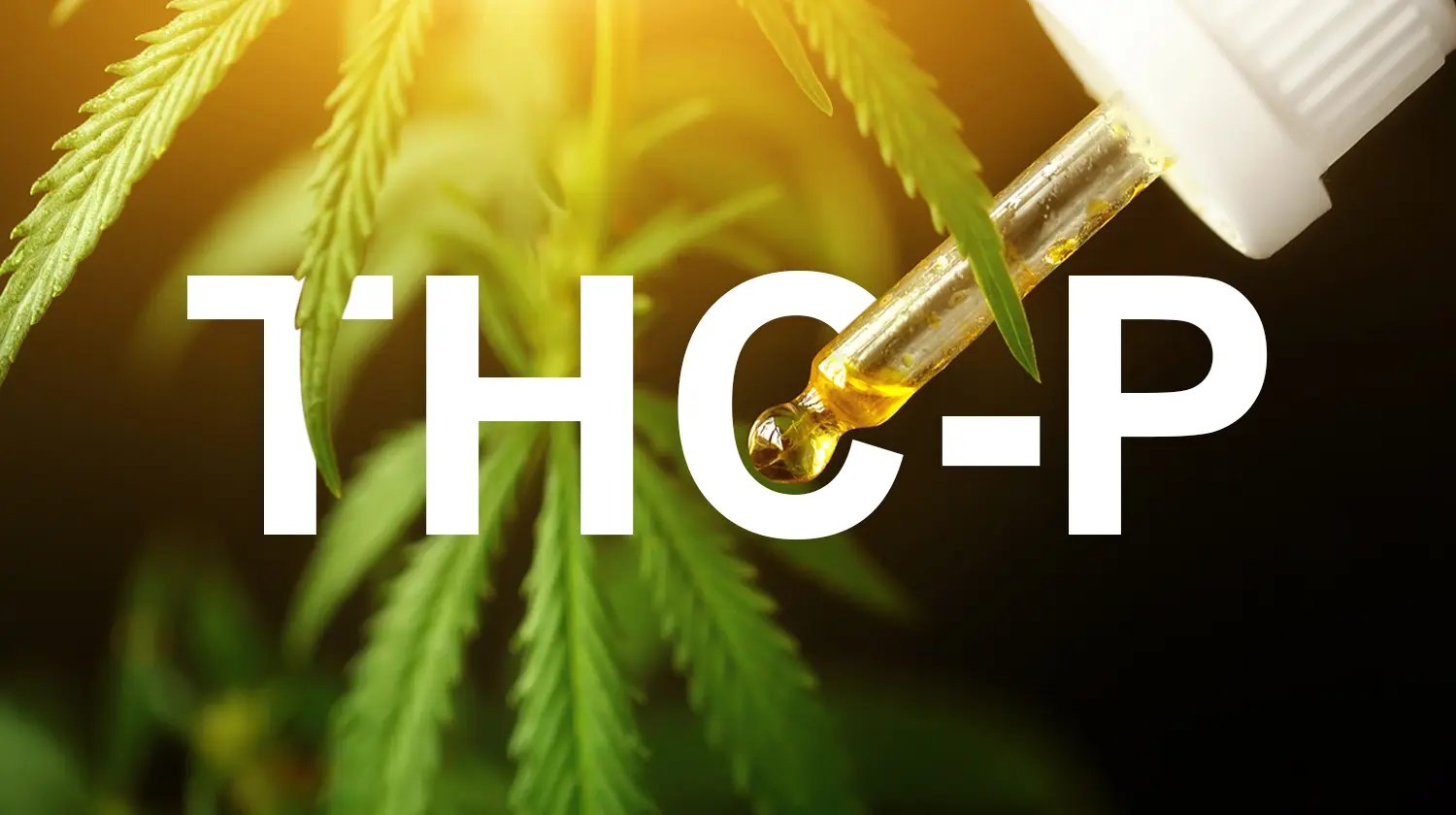 THC-P in 2023: Powerful Affects, Health Benefits, and More