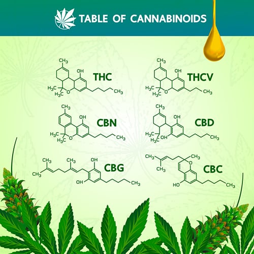 Types of Cannabinoids