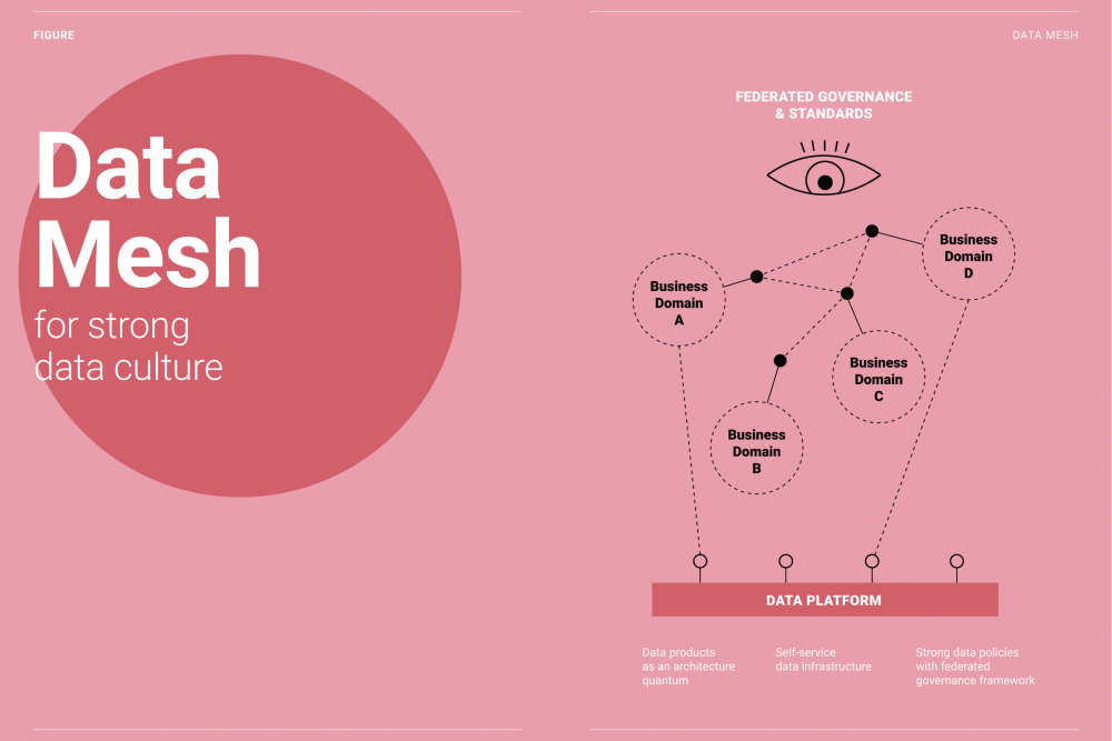The path to data centricity 5: why a data mesh