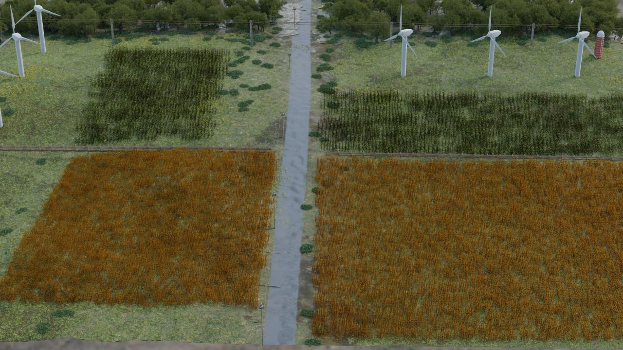 bec01dcc c115 4d9b 8eed 9cd8d2cb9f66 md