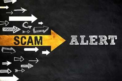 Scam, Scam Website, Scam Alert, February 2024