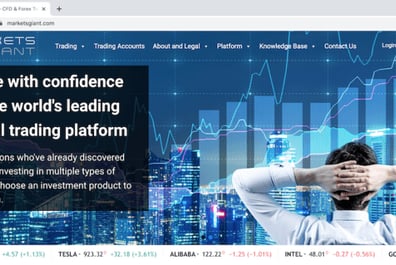 Site Internet du géant des marchés