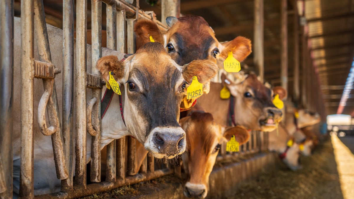 Eight ANZ startups raise $67.4M: Farmbot leads with $22M Series B