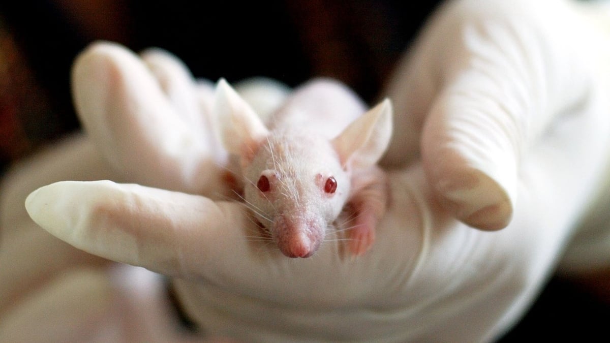 CSIRO seeks private funding as public R&D falls, jobs cut