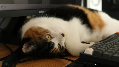 AI Handles the Reconciliations. Burnout Kills the Advisory Skills.