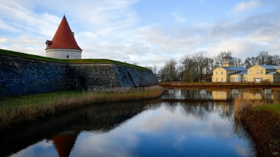 Your Test Suite Is Worth More Than Your Code Now