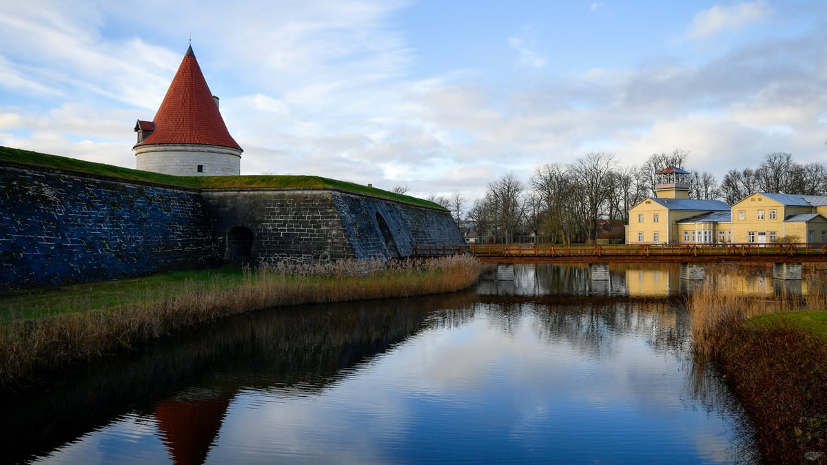 Your Test Suite Is Worth More Than Your Code Now