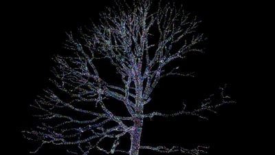 Why B-Tree indexes still dominate relational databases: the page-level trade-offs