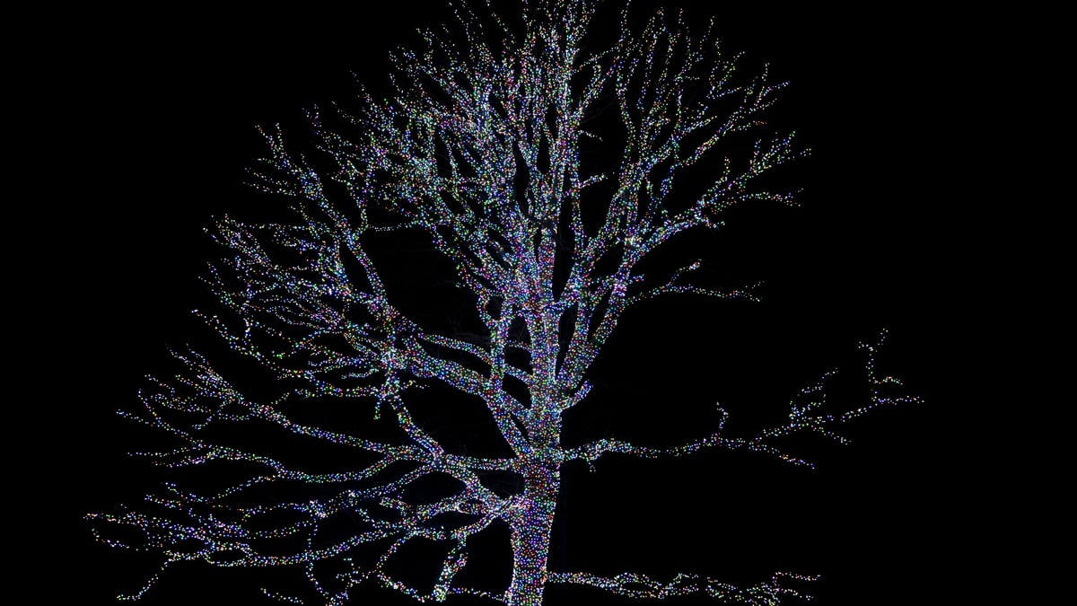 Why B-Tree indexes still dominate relational databases: the page-level trade-offs