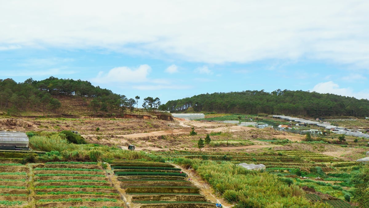 Varaha raises $20M to scale carbon removal from Global South farms