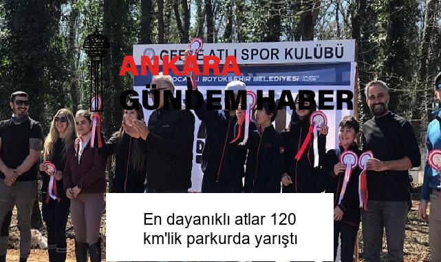 En dayanıklı atlar 120 km’lik parkurda yarıştı