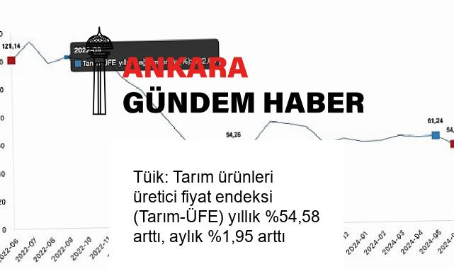 Tüik: Tarım ürünleri üretici fiyat endeksi (Tarım-ÜFE) yıllık %54,58 arttı, aylık %1,95 arttı
