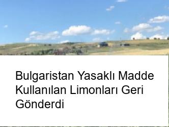 Bulgaristan Yasaklı Madde Kullanılan Limonları Geri Gönderdi