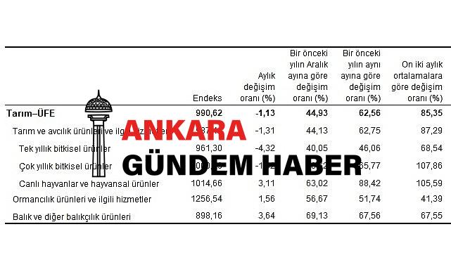 Tarım ürünleri üretici fiyat endeksi (Tarım-ÜFE) yıllık yüzde 62,56 arttı, aylık yüzde 1,13 azaldı