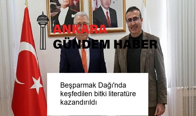 Beşparmak Dağı’nda keşfedilen bitki literatüre kazandırıldı