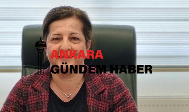 “Sağlık grubu içerisinde kesinlikle ebelere yer verilmeli”