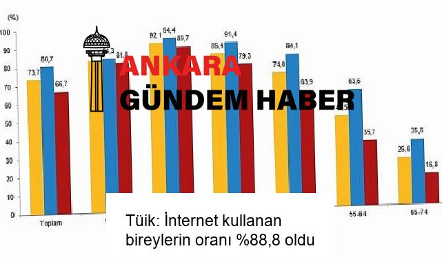 Tüik: İnternet kullanan bireylerin oranı %88,8 oldu
