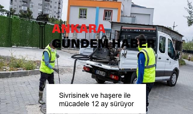 Sivrisinek ve haşere ile mücadele 12 ay sürüyor