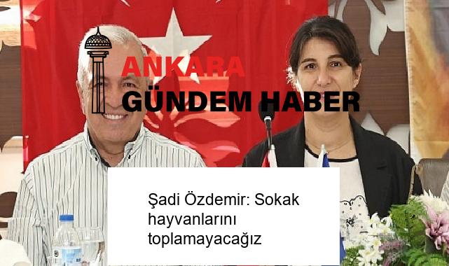 Şadi Özdemir: Sokak hayvanlarını toplamayacağız