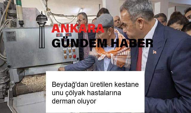 Beydağ’dan üretilen kestane unu çölyak hastalarına derman oluyor