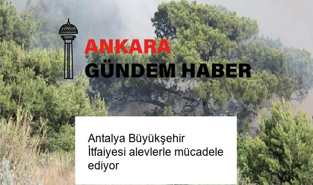 Antalya Büyükşehir İtfaiyesi alevlerle mücadele ediyor