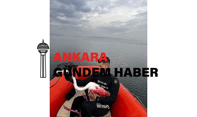Kocaeli İtfaiyesi, İzmit Körfezinde mahsur kalan yaralı Flamingo’yu kurtardı