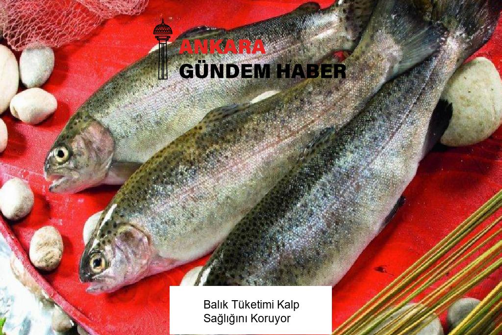 Balık Tüketimi Kalp Sağlığını Koruyor