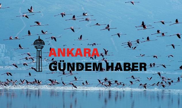 Lider Soyer Çiğli Arıtma Tesisi’ndeki çalışmaları inceledi İZSU’dan pak Körfez için tarihi adımlar