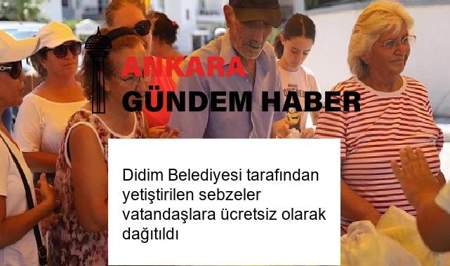 Didim Belediyesi tarafından yetiştirilen sebzeler vatandaşlara ücretsiz olarak dağıtıldı