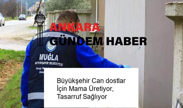 Büyükşehir Can dostlar İçin Mama Üretiyor, Tasarruf Sağlıyor