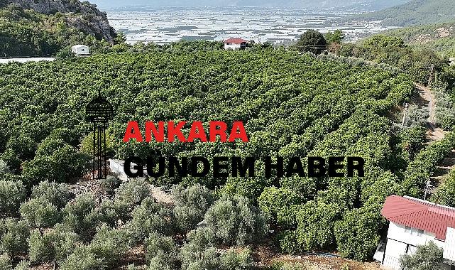 Kumlucalı üreticiler kapalı devre sulama tesisinden memnun