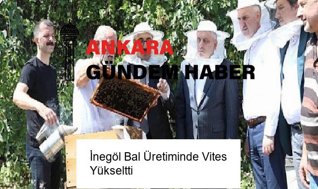 İnegöl Bal Üretiminde Vites Yükseltti