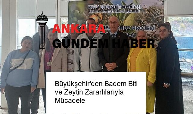 Büyükşehir’den Badem Biti ve Zeytin Zararlılarıyla Mücadele