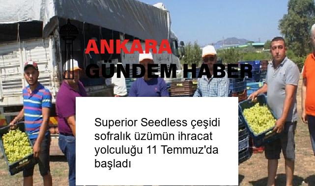 Superior Seedless çeşidi sofralık üzümün ihracat yolculuğu 11 Temmuz’da başladı