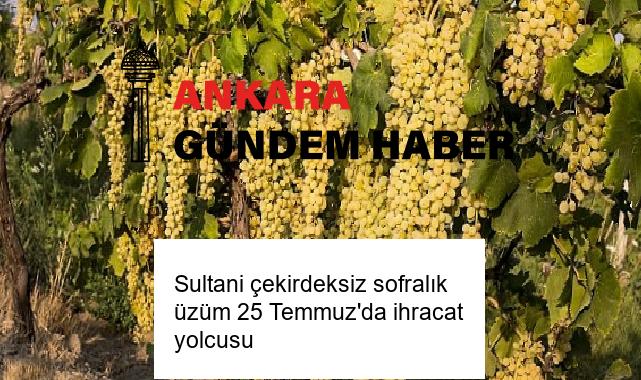 Sultani çekirdeksiz sofralık üzüm 25 Temmuz’da ihracat yolcusu