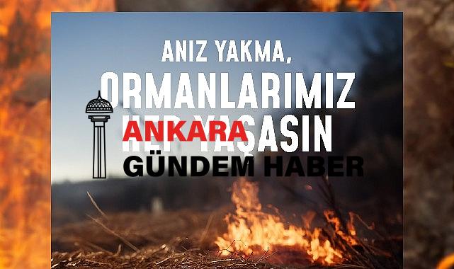 Bir kıvılcım geleceğimizi yakmasın, ormanlarımız hep yaşasın!